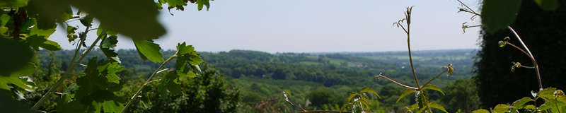 Cow Close Barn self catering accommodation in Yorkshire, luxury Self-Catering Accommodation, luxury Holiday Cottages in Yorkshire, Holiday Cottages in Harrogate, Holiday Cottages in the UK, Places to stay in Yorkshire, Holiday Accommodation in Yorkshire,  luxury Holidays in Yorkshire, Cowclose Barn, Harroagte, North Yorkshire